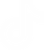 tik tok logo